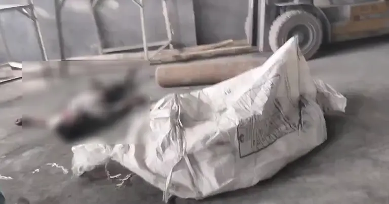 দুই শ্রমিকের মৃত্যু